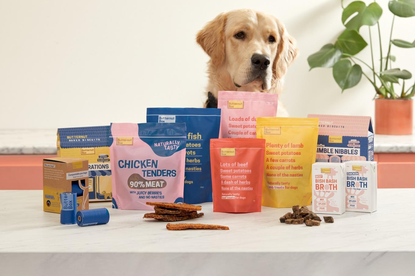 Image of Butternox products with dog